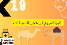 البوتاسيوم فى هجن السباقات