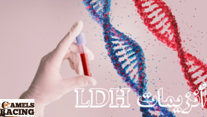 أنزيمات LDH
