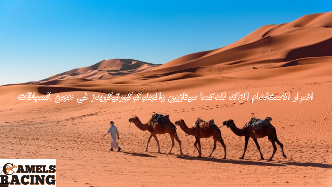 هجن السباقات